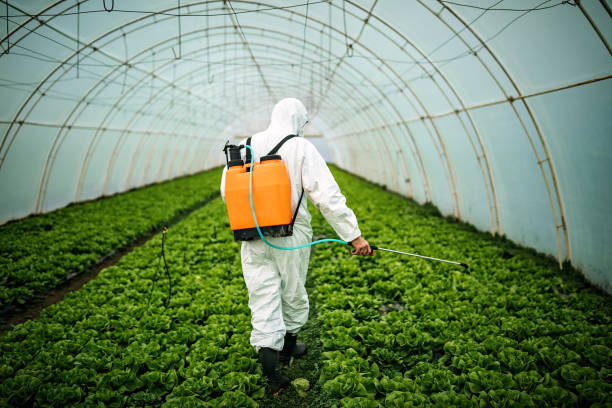 Reliable Del Norte, CO Pest Control Solutions